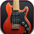 Bass Guitar Brand Bonanza