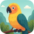 What Kind of Bird Lover Are You?