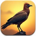 Which Extinct Bird Matches Your Personality?